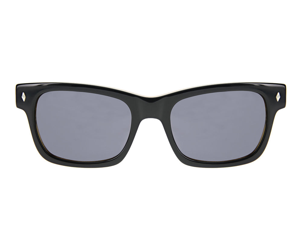 Waycooler Black + Honey Tortoise / Smoke Lenses Front