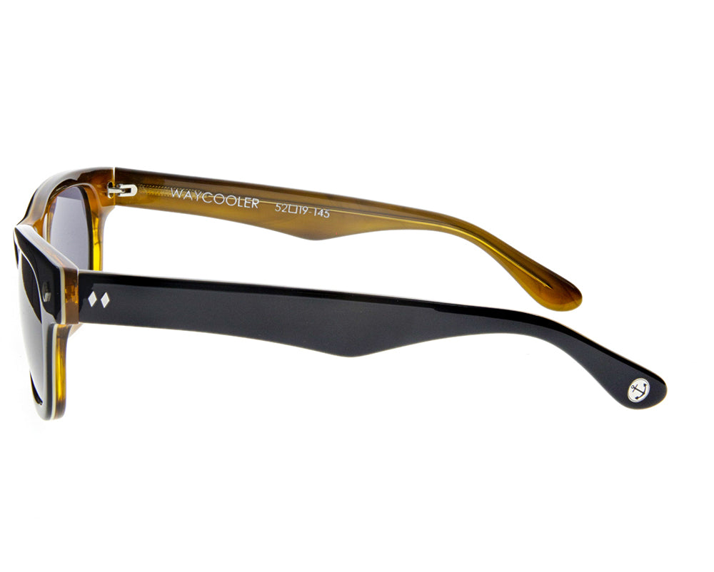 Waycooler Black + Honey Tortoise / Smoke Lenses Side